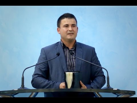 Petru Balmus - Intelepciunea care vine de sus