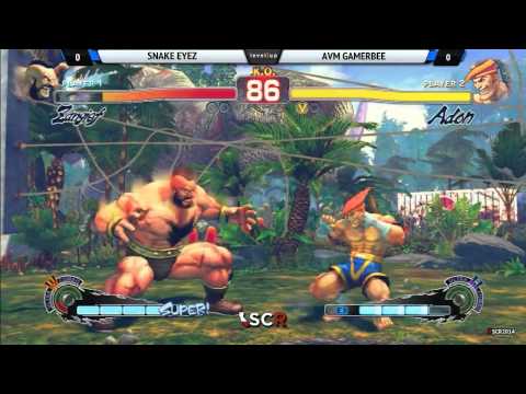 USF4 SNAKE EYEZ VS AVM GAMERBEE - Socal Regionals 2014 Day 1