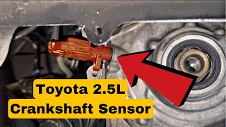 Toyota 2.5L Crankshaft Position Sensor Location/ Replacement. RAV4 CAMRY SCION TC