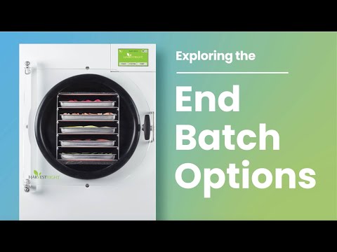 End Batch Options