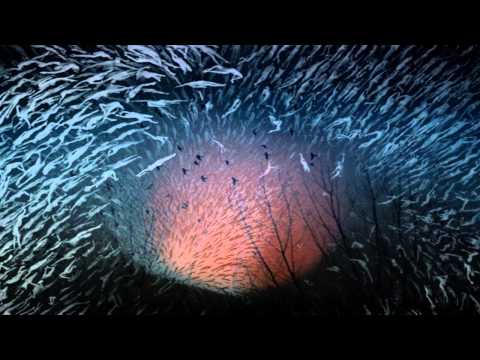 Olafur Arnalds - Only The Winds (Illl's Reimagination)