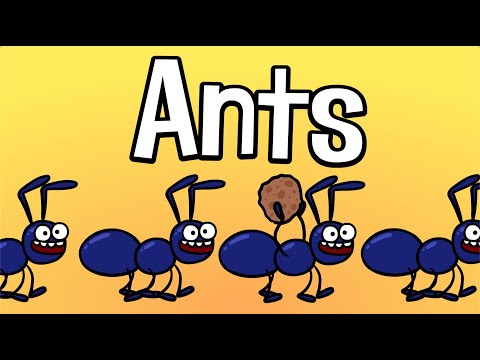 Ants Song  - Funny kids song - Family song | Hooray Kids Songs & Nursery Rhymes