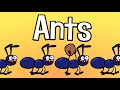 Ants Song Funny Kids Song Family Song Hooray Kids Songs Nursery Rhymes
