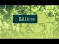 Dallas pavillon 611,5x363,5 cm gris + éclairage LED | video 1