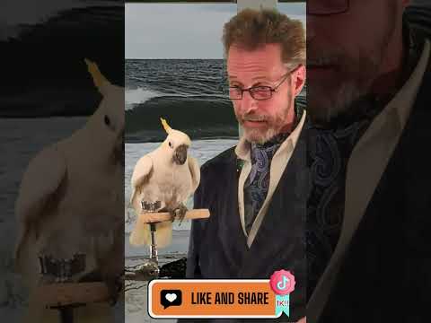 cockAtails = Cocktails With a Cockatoo - episode: "The Big Island"