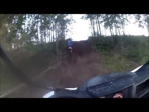 2013 Rmz Vs 2013 Wildcat