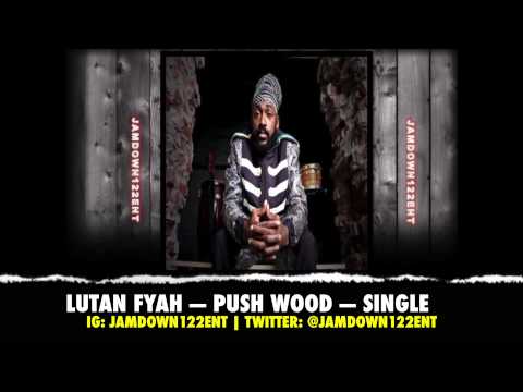 Lutan Fyah - Push Wood - Single [Shiah Records] - 2014