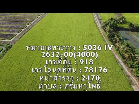 Land for sale in Nakhon Pathom, Nakhon Chai Si District, beautiful location near highway projects. Bang Yai - Kanchanaburi (M81) can be extended. – รูปที่ 2