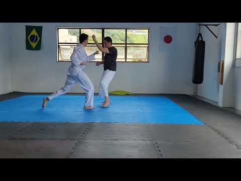 Treino de Jiyu Ippon kumite Hudson vs Igor