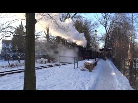 Mügeln ---- Zugfahrt Wilder Robert am 22.1.2017 Russischer Sonntag