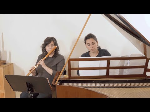 Episode 1 — Takeout Symphony (Teaser) — Mika Putterman, Romantic flute & Gili Loftus, Fortepiano