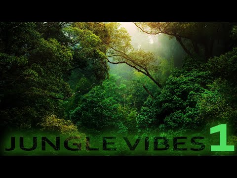Jungle Vibes Vol 1 (Jungle / DnB / Drum and Bass)