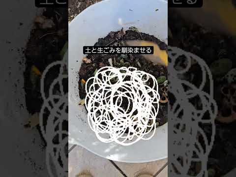 アパートでも堆肥を作ることはできますか？バルコニーコンポストを成功させるために知っておくべきことすべて!  庭園