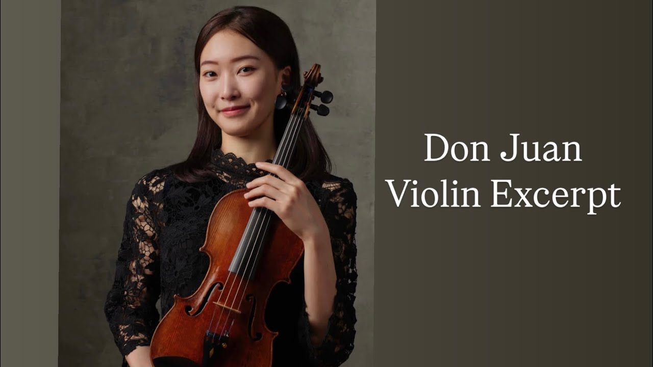 Don Juan Violin Excerpt