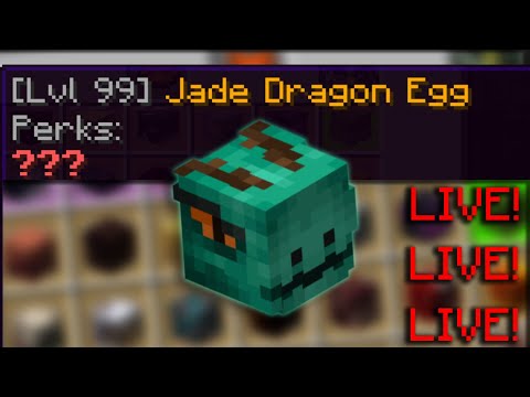 hatching a jade dragon (we totally legitimately obtained) (Hypixel Skyblock)