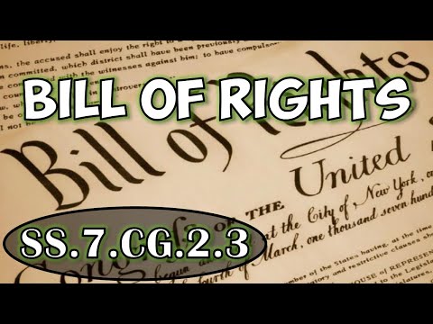 SS.7.CG.2.3 - Identify the rights contained in the Bill of Rights and amendments to the Constitution