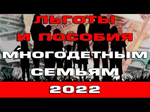 Льготы и пособия многодетным семьям в 2022 году в России