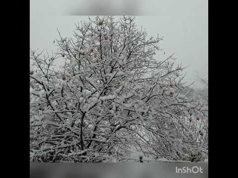 Most Beautiful winter snowfall in luino #travels #italy