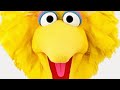 Someday I Ll Find It The Perfect Collection Big Bird Geeks And Beauties Collab July 2019