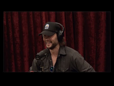 @joerogan - "Joe Rogan Experience #2381 - Taylor Kitsch"