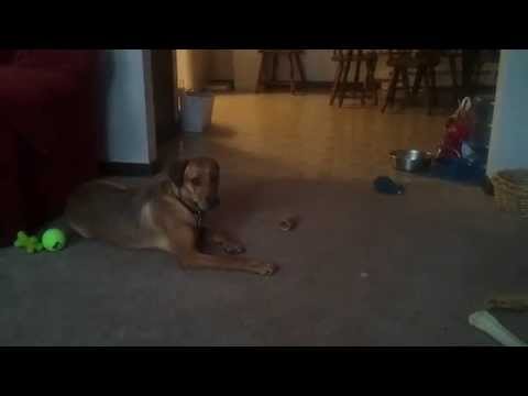 video-2011-01-20-12-32-01