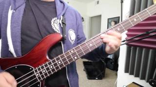Descendents - Victim of Me (Bass Cover)