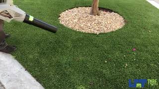 Turf Tips | Keeping the Turf Clean