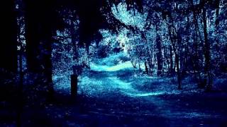 Moonsorrow - Sankarihauta