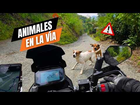 OFF ROAD para principiantes | Ruta CALDAS - FREDONIA - SANTA BÁRBARA