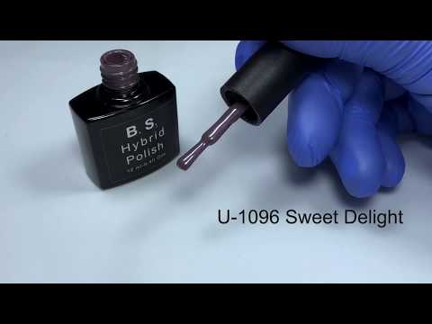 B.S. Hybrid Polish code: U-1096