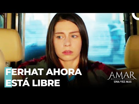 Ece Está En Problemas - Amar Una Vez Más