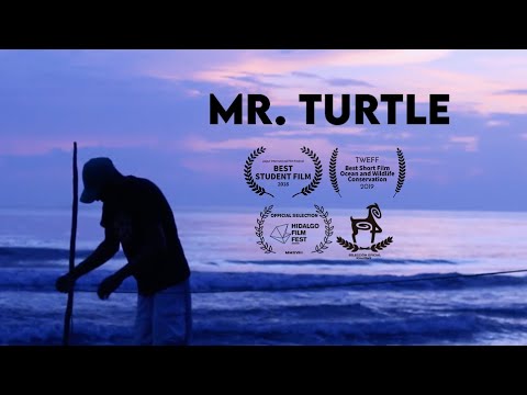 SEÑOR TORTUGA | MR. TURTLE