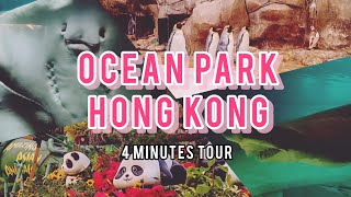 Ocean Park Hong Kong | 4-Minute Tour 🐼🐧🦈🐠 | Wanders by Joy