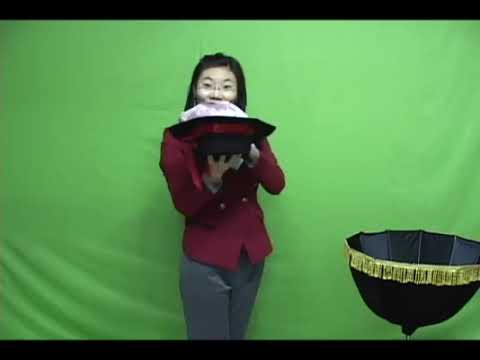 Real Spring Flowers by JL Magic