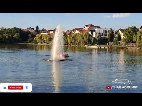 Ce  am găsit  pe Malul  lacului din. Gheorgheni. ?