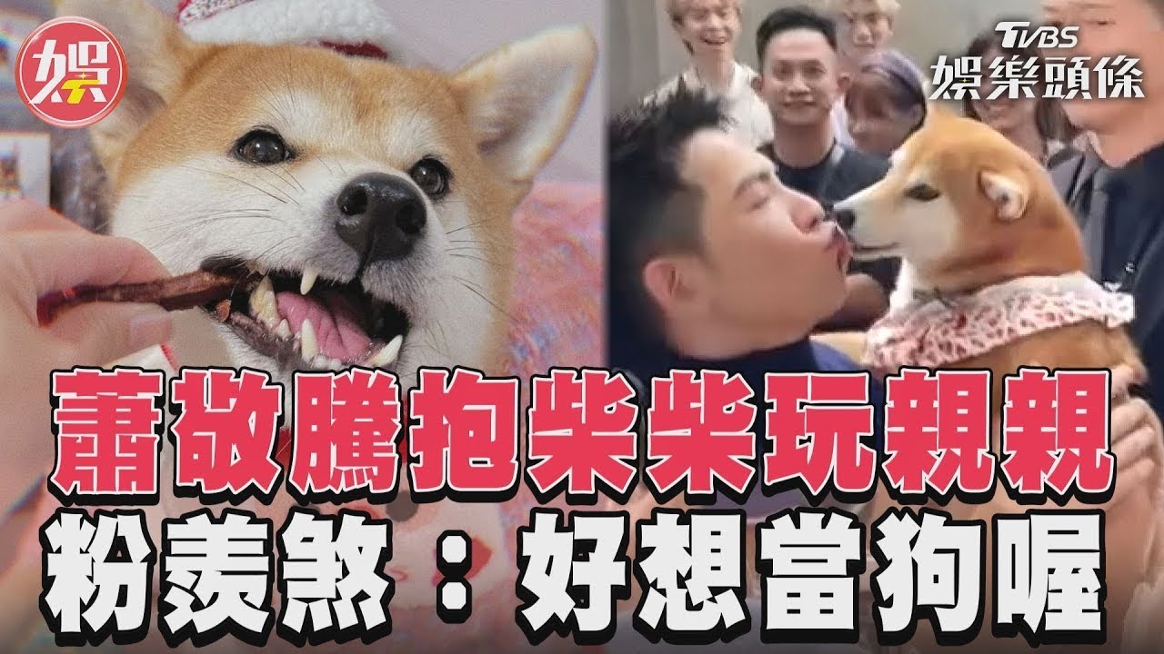 影音／蕭敬騰抱柴柴玩親親　粉羨煞：好想當狗喔