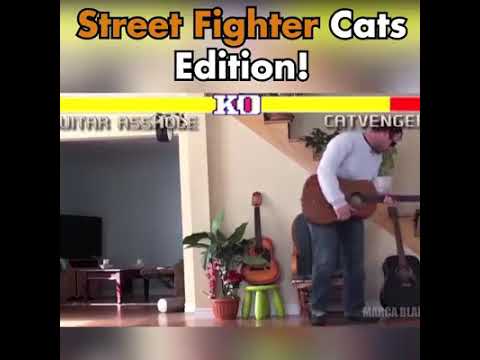 street fighter cat edition so funny