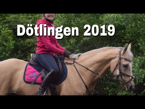 Zeltlager RFO Dötlingen 2019⛺️!