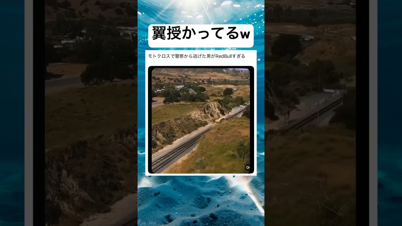 アドレナリン全開なんだろうなぁwwww#shorts#逃走#海外#バイク#面白い#笑える