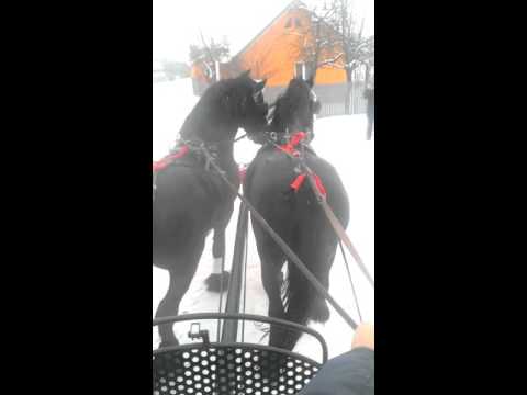 Boboteaza 2016 Vadu-parului(2)