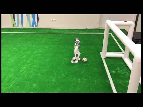 Starkit Team Qualification Video for Robocup 2019 (Sydney) Standard Platform League