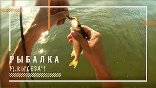 Ссылка