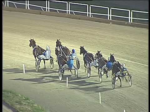 Trotto 02/02/2018 - 5ª corsa