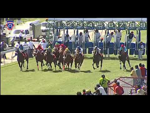 RM38 R4 | Marauding | J.Watson