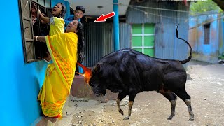 Must Watch New Funny Video 2023😂😂 Top New Comedy Video  Try To Not Laugh Fn Mama New Episode-42