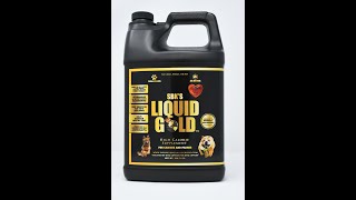 What I feed my XL bully