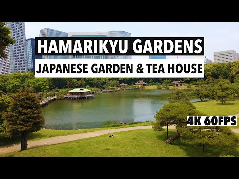 Hamarikyu Gardens | Beautiful Japanese Garden and Traditional Tea House in Tokyo, Japan | 4K 60FPS