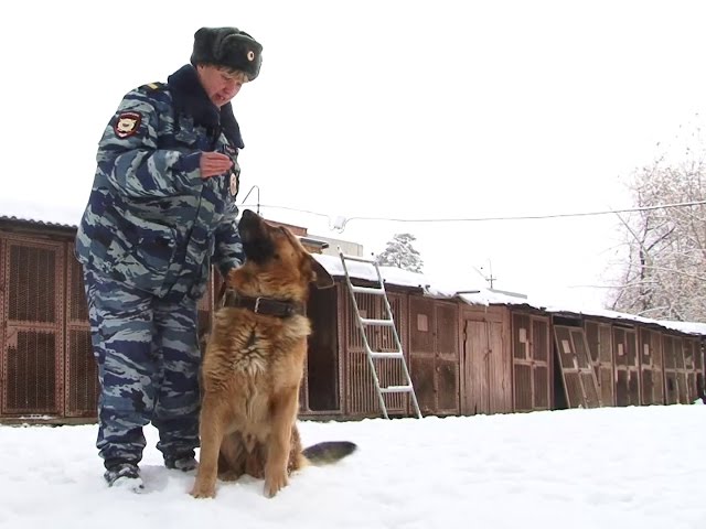 Суровое женское счастье