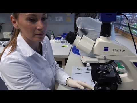 Living Standards Award-Preisträger 2019 – BDI-BioEnergy International