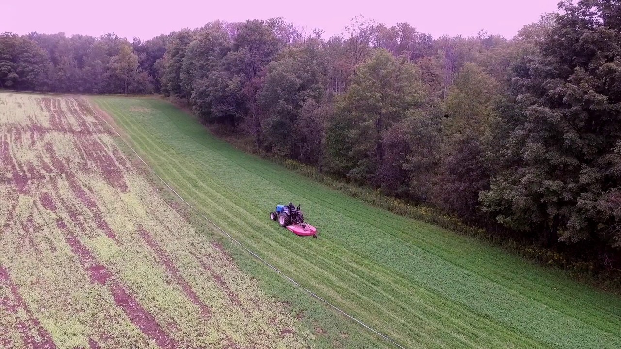 Fast Food Plots Video
